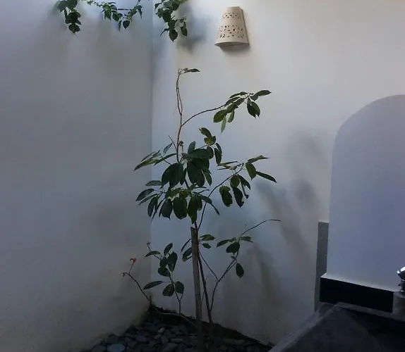 Maison d'hôtes Taman Dewi Sri Et Pemuteran